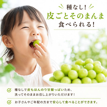 【9月中旬頃より順次出荷・先行予約受付中】シャインマスカット＆クインニーナ　計約1.1kg～約3.3kg【2房～6房から選択可】