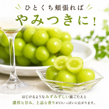 【9月中旬頃より順次出荷・先行予約受付中】シャインマスカット＆クインニーナ　計約1.1kg～約3.3kg【2房～6房から選択可】