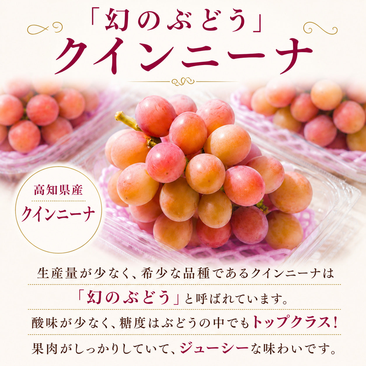 【9月中旬頃より順次出荷・先行予約受付中】シャインマスカット＆クインニーナ　計約1.1kg～約3.3kg【2房～6房から選択可】