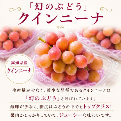 【9月中旬頃より順次出荷・先行予約受付中】シャインマスカット＆クインニーナ　計約1.1kg～約3.3kg【2房～6房から選択可】