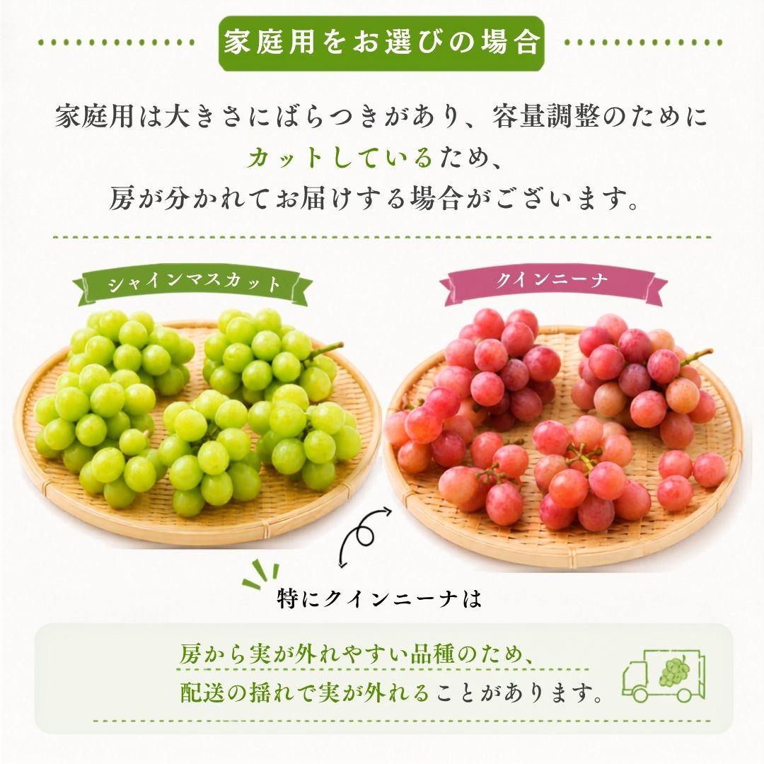 【9月中旬頃より順次出荷・先行予約受付中】シャインマスカット＆クインニーナ　計約1.1kg～約3.3kg【2房～6房から選択可】