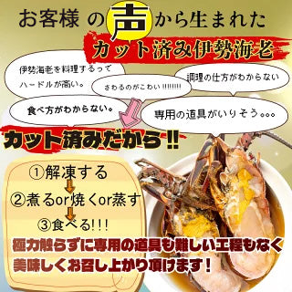 【簡単調理！】ハーフカット伊勢海老 700g～3.5kg