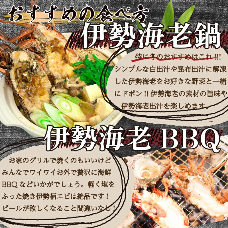 【簡単調理！】ハーフカット伊勢海老 700g～3.5kg