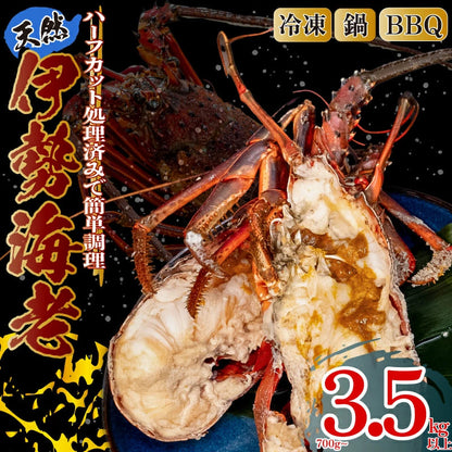 【簡単調理！】ハーフカット伊勢海老 700g～3.5kg