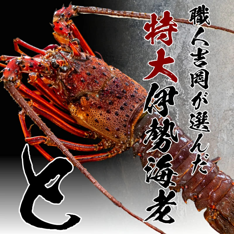 【捌いて発送！】でっかい天然剥き伊勢海老 刺身用