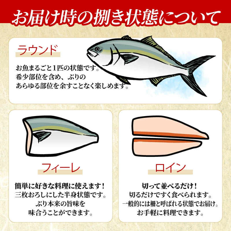 【高知県宿毛産】土佐宿毛ブリ 皮なし ロイン お刺身用柵【400g/1kgから選択可】