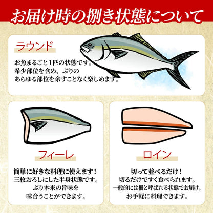 【高知県宿毛産】土佐宿毛ブリ 皮なし ロイン お刺身用柵【400g/1kgから選択可】