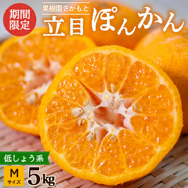 【贈答用】立目ぽんかん  5kg / 10kg【1月上旬〜中旬より出荷】【果樹園さかもと】【柑橘】
