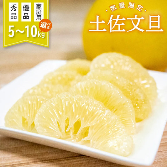 須崎市産・土佐文旦 秀品 優品 家庭用 5～10kg【高知県須崎市・北川果樹園】【柑橘】