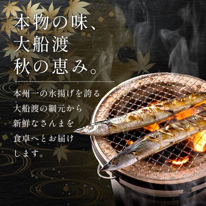 【大船渡から直送】生さんま 訳あり約2kg【支援額300円】