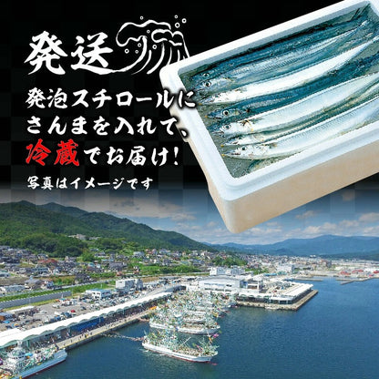 【大船渡から直送】生さんま 訳あり約2kg【支援額300円】