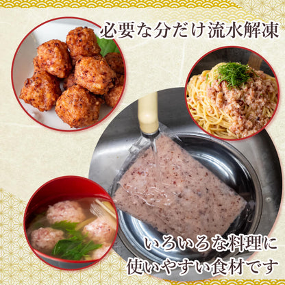 【通常価格より20%OFF】国産イカミンチ 250g × 2パック