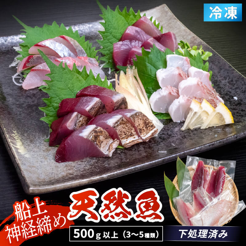 【船上神経締め】高知・須崎の天然魚 フィーレ加工済み 2〜3種類500g以上（冷凍）【九石大敷組合】【日付指定不可】