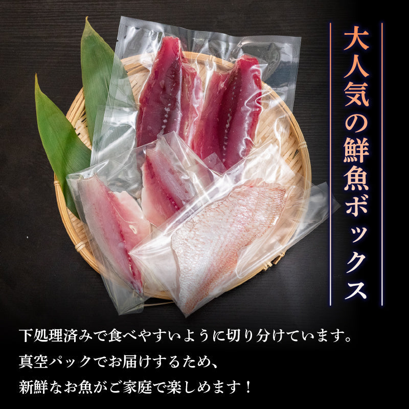 【船上神経締め】高知・須崎の天然魚 フィーレ加工済み 2〜3種類500g以上（冷凍）【九石大敷組合】【日付指定不可】