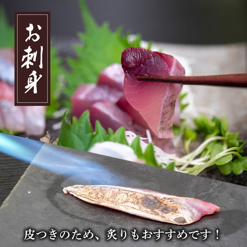 【船上神経締め】高知・須崎の天然魚 フィーレ加工済み 2〜3種類500g以上（冷凍）【九石大敷組合】【日付指定不可】