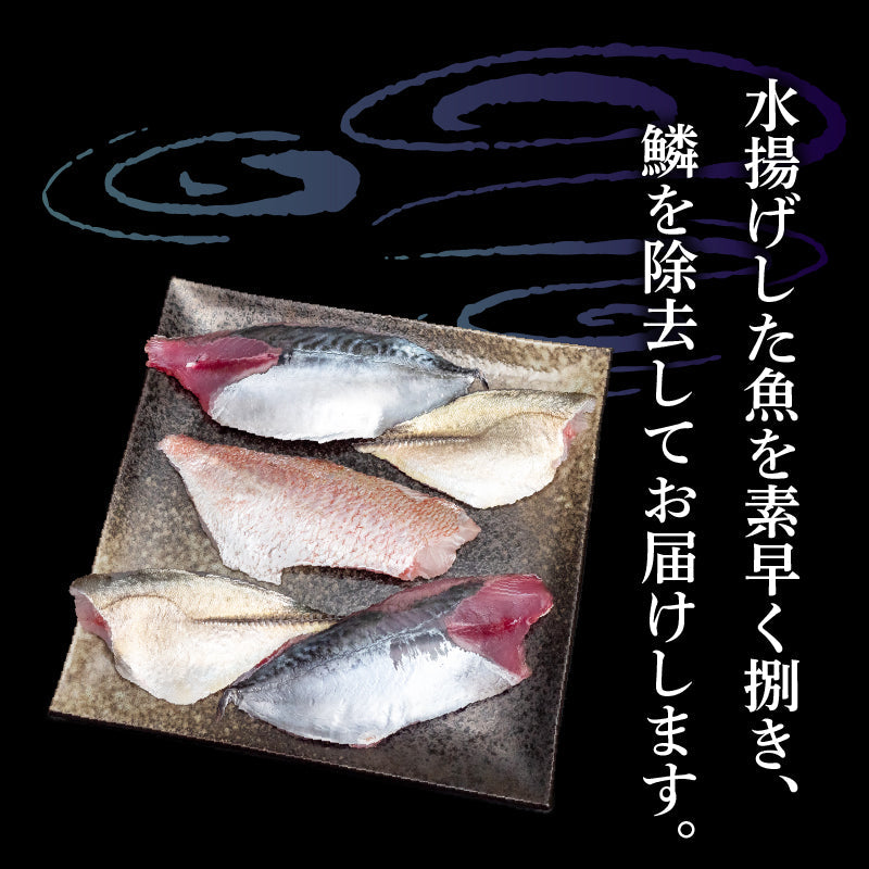 【船上神経締め】高知・須崎の天然魚 フィーレ加工済み 2〜3種類500g以上（冷凍）【九石大敷組合】【日付指定不可】
