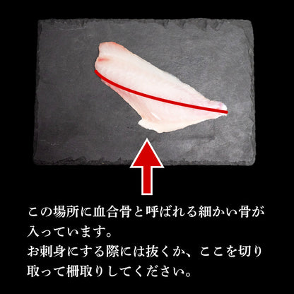 【船上神経締め】高知・須崎の天然魚 フィーレ加工済み 2〜3種類500g以上（冷凍）【九石大敷組合】【日付指定不可】