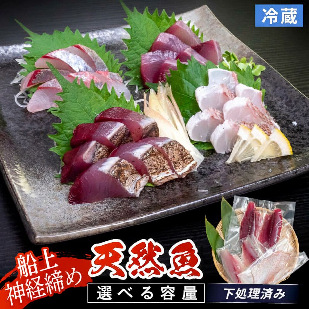 【鮮度抜群】高知県須崎産 日替わり 天然魚 （フィーレ）冷蔵 【下処理済み】