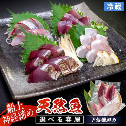 【鮮度抜群】高知県須崎産 日替わり 天然魚 （フィーレ）冷蔵 【下処理済み】