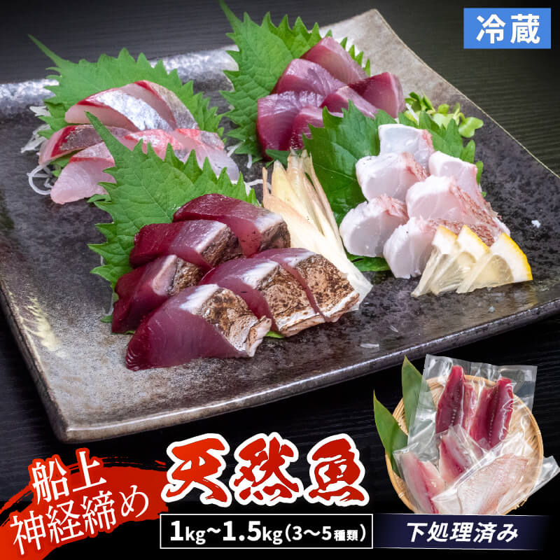 【船上神経締め】高知・須崎の天然魚 フィーレ加工済み 3〜5種類1kg〜1.5kg（冷蔵）【九石大敷組合】【日付指定不可】