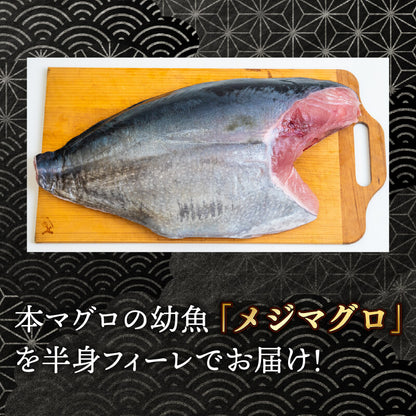 【希少・さっぱり赤身】メジマグロ 半身皮付フィーレ 2kg以上【天然ヨコワ・冷凍】