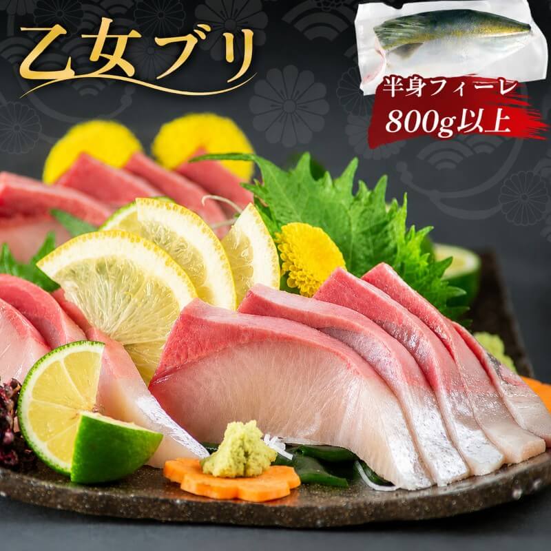 【脂のり抜群】高知産ブリ「乙女ブリ」 カマ・皮付きフィーレ【半身分/1尾分から選択可】