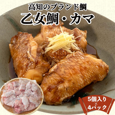 乙女鯛・カマ 5個入り×4パック〜16パック