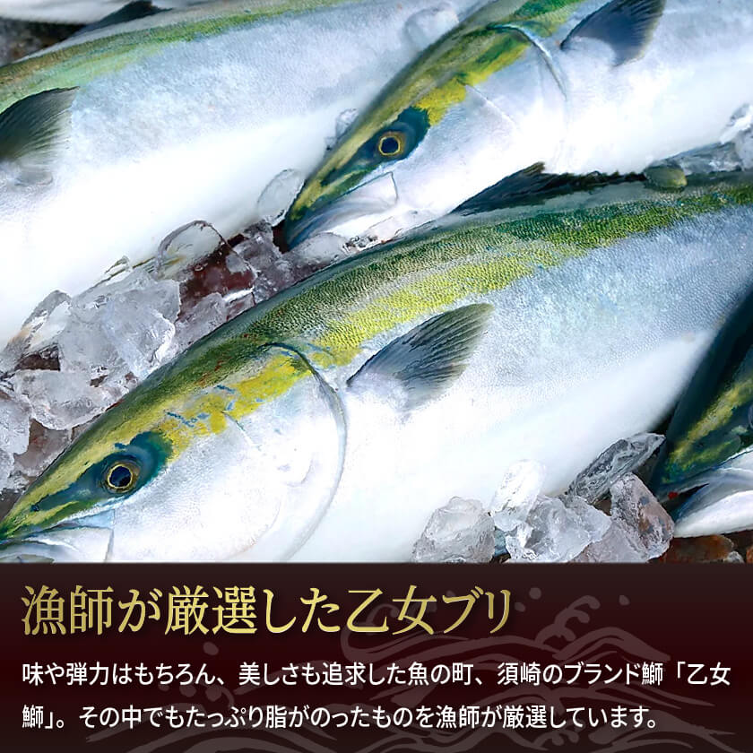 絶品！乙女ブリのカマ4個〜16個【ブリ】