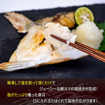 絶品！乙女ブリのカマ4個〜16個【ブリ】