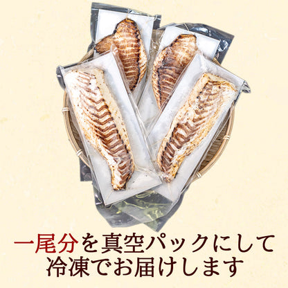 ブランド真鯛「乙女鯛」の藁焼きタタキ