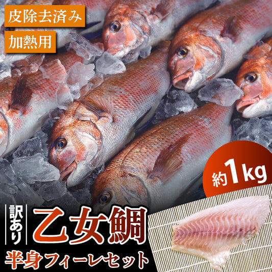 【訳あり】乙女鯛 皮なしフィーレ 加熱用