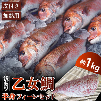 【訳あり】乙女鯛 半身フィーレセット 約1kg（加熱用・皮付き）