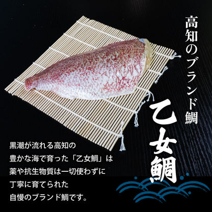 【訳あり】乙女鯛 半身フィーレセット 約1kg（加熱用・皮付き）
