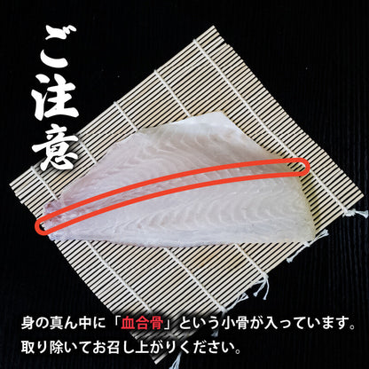 【訳あり】乙女鯛 半身フィーレセット 約1kg（加熱用・皮付き）
