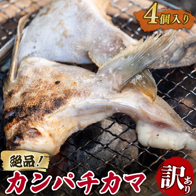 【塩焼きで絶品】高知県産カンパチのカマ 訳あり【4～16個まで選択可】