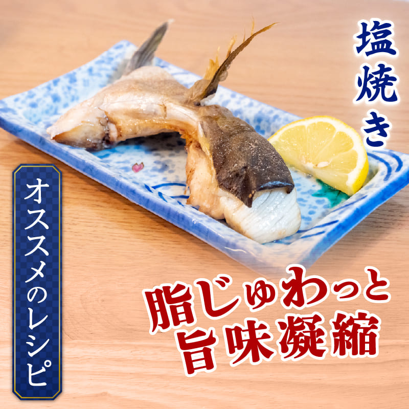 【塩焼きで絶品】高知県産カンパチのカマ 訳あり【4～16個まで選択可】