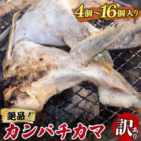 【塩焼きで絶品】高知県産カンパチのカマ 訳あり【4～16個まで選択可】