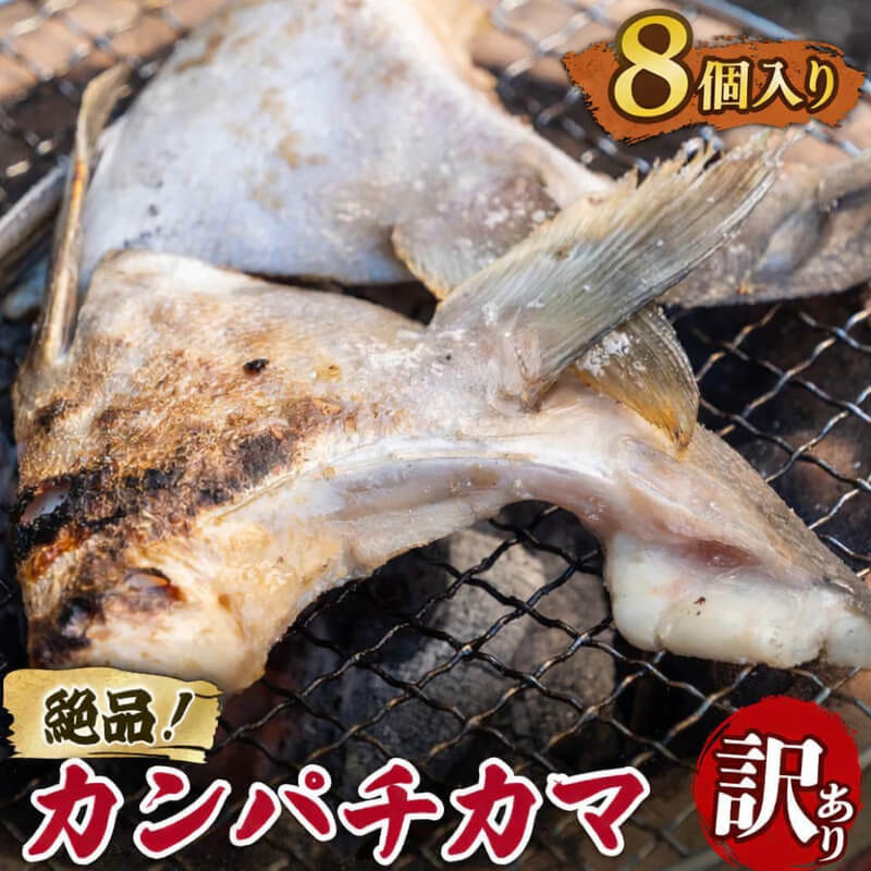 【塩焼きで絶品】高知県産カンパチのカマ 訳あり【4～16個まで選択可】