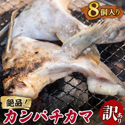 【塩焼きで絶品】高知県産カンパチのカマ 訳あり【4～16個まで選択可】