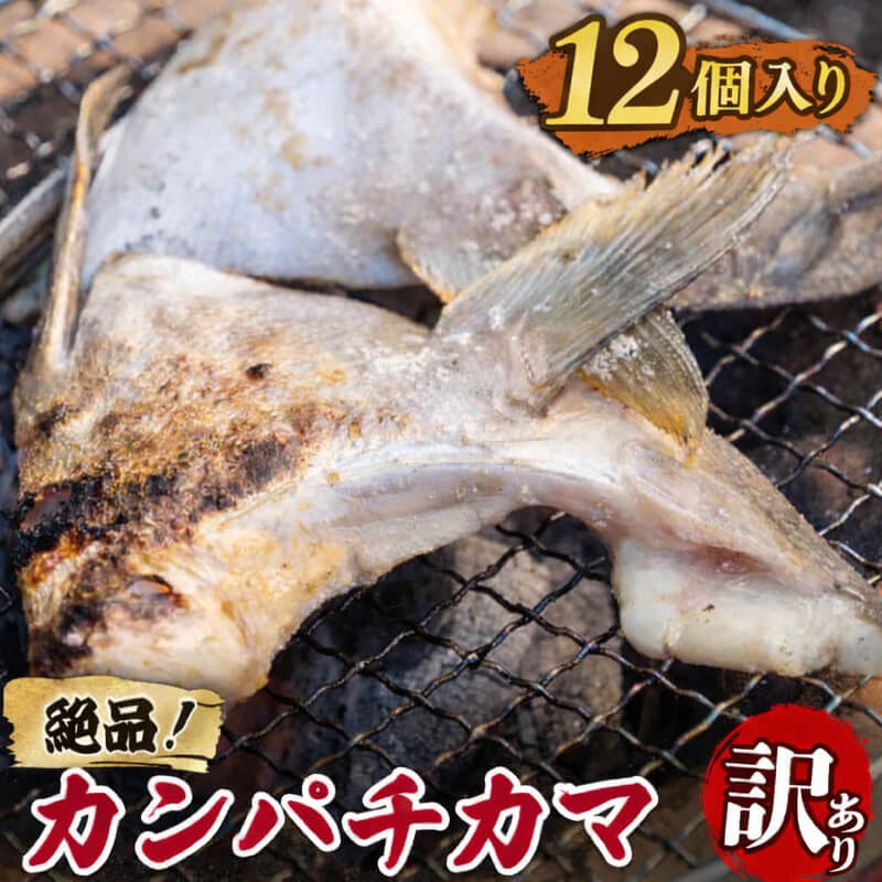 【塩焼きで絶品】高知県産カンパチのカマ 訳あり【4～16個まで選択可】