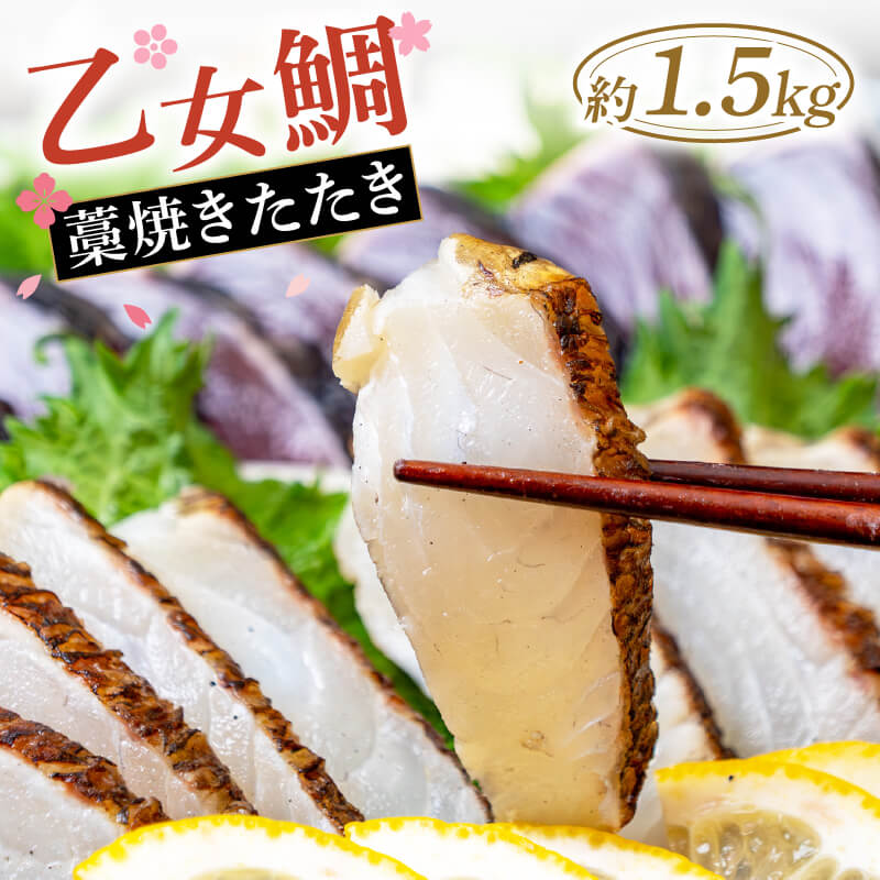 乙女鯛 皮付き 藁焼きたたき （冷凍）