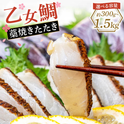 乙女鯛 皮付き 藁焼きたたき （冷凍）