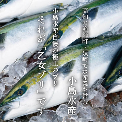 乙女ブリ 半身　カマ・皮付きフィーレ 700g〜1000g