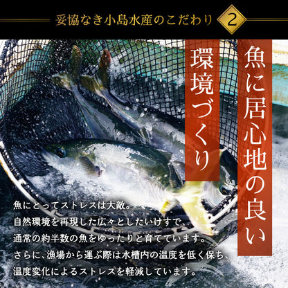 乙女ブリ 半身　カマ・皮付きフィーレ 700g〜1000g