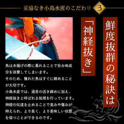 乙女ブリ 半身　カマ・皮付きフィーレ 700g〜1000g
