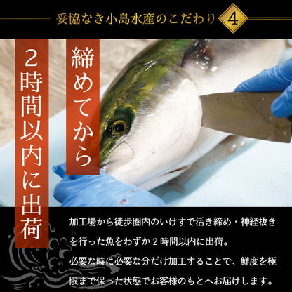乙女ブリ 半身　カマ・皮付きフィーレ 700g〜1000g