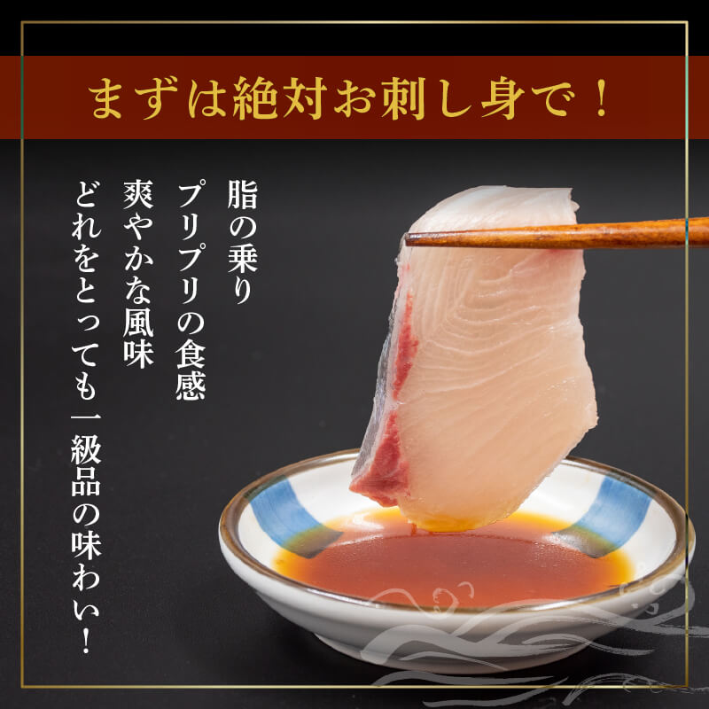 乙女ブリ 半身　カマ・皮付きフィーレ 700g〜1000g