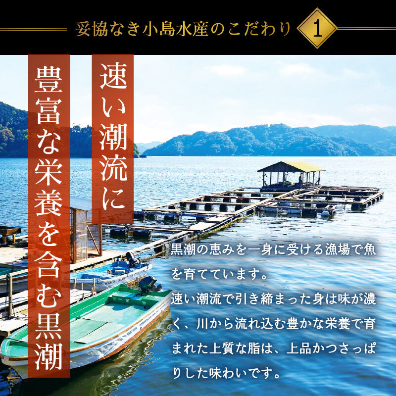 【水産の歴史】鰤（ぶり）街道〜その歴史と文化〜 鰤のきた道 / 市川 健夫【監修】/松本市立博物館【編