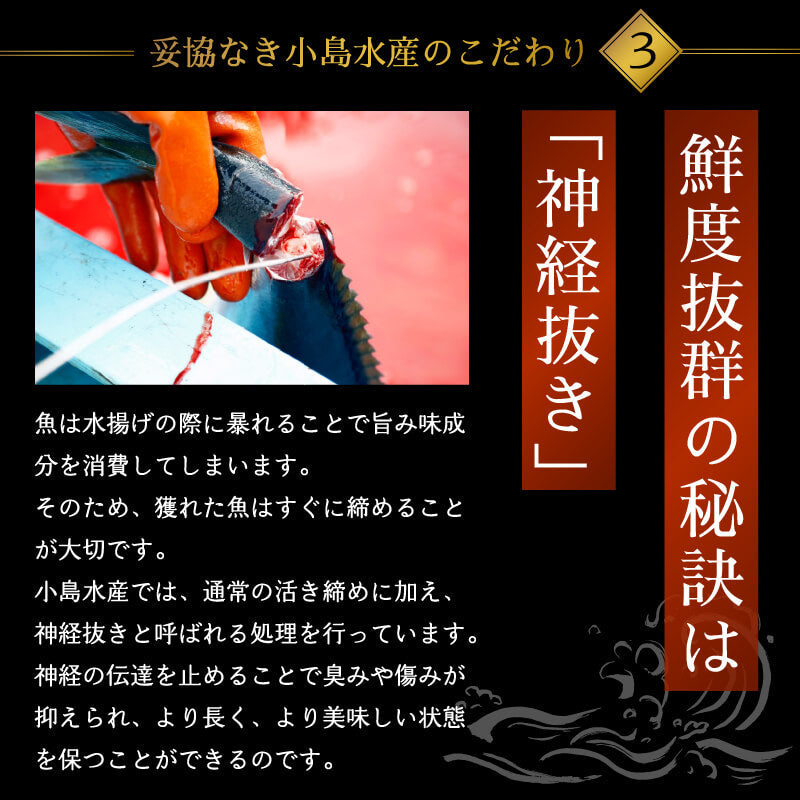 乙女ブリ 1匹まるごと（ラウンド）【鮮魚】【ブリ】 – 高知