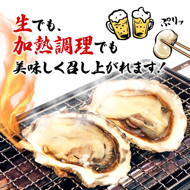 岩手県産 殻付き牡蠣 無選別訳あり品（冷凍・生食可）約3kg【支援金額300円】